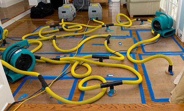 Professional Water Extraction technician working in Paris, TX