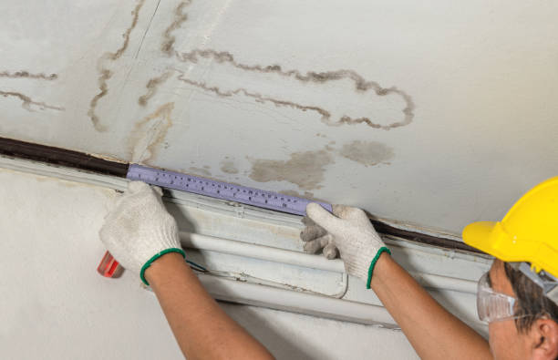 Affordable Water Damage Repair solutions in Paris, TX